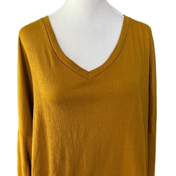 Anthropologie - Dina V-Neck Top Long Sleeve Oversized Sz L - Picture 3 of 7